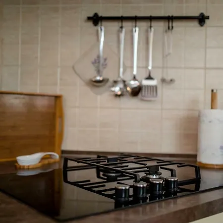 公寓 Godinic Palit