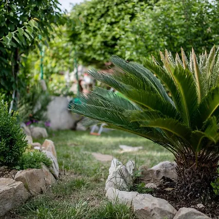 Apartmán Godinic New Translation